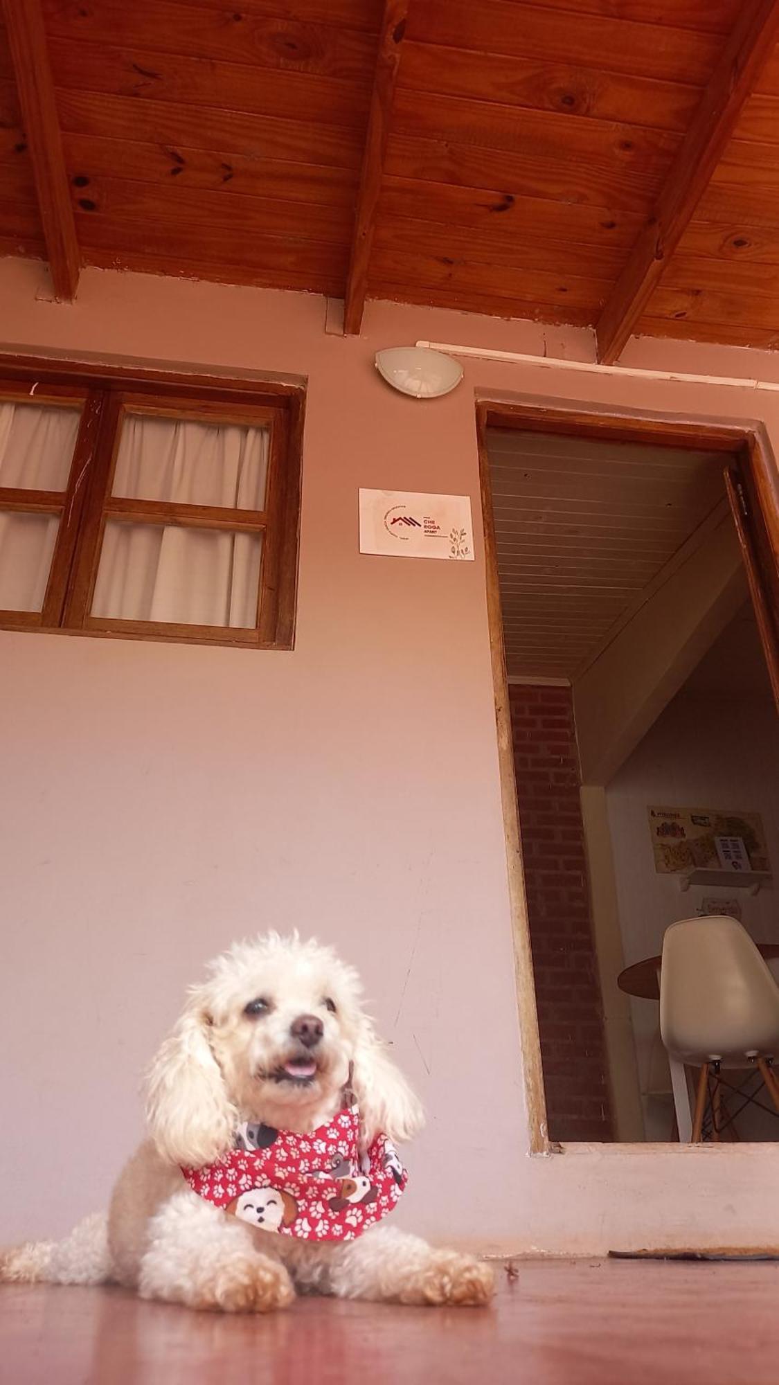 Oga'I Alquiler Turistico Apartamento Puerto Iguazú Exterior foto